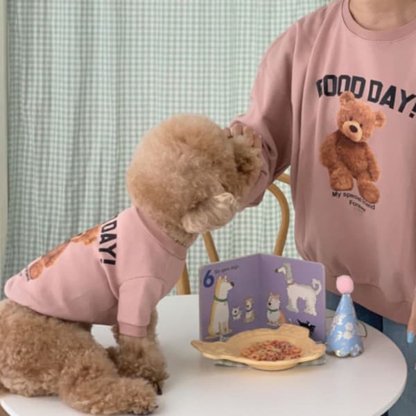 Pet Dog Sweater, PINK XL