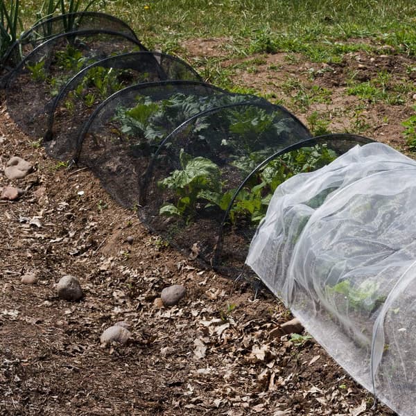 Havenet, beskyttelsesnet mod fluer, fugle, jagt, blinde planter (sort, 3 x 10 m)
