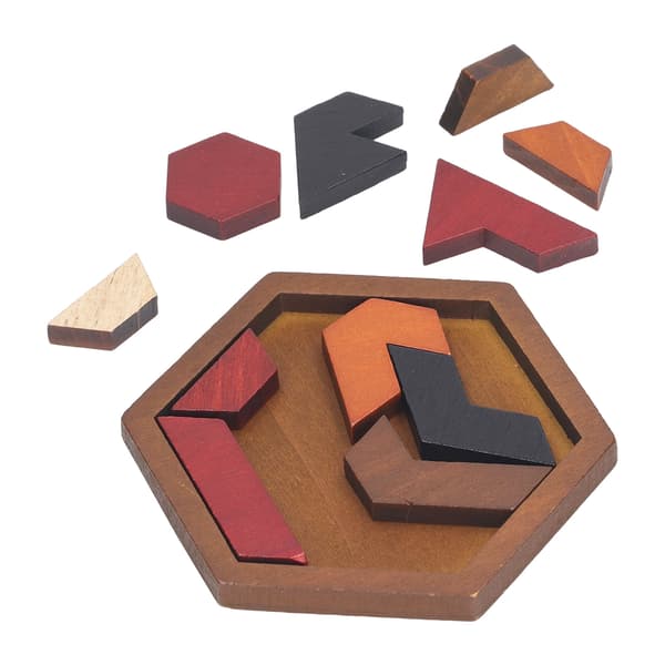 Hexagon Puzzle Building Blocks Shape Pattern Game for Kids Adults Cognitive Exploration Fun Gifts