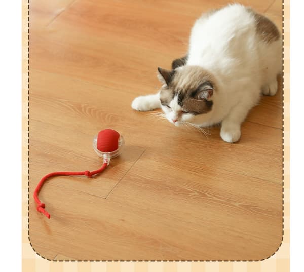 Interactive Electric Cat Toy, Smart Cat Ball Toy - Smart Interactive Ball Model 1