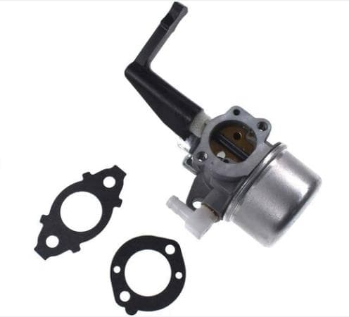 696065 Carburetor-1pc