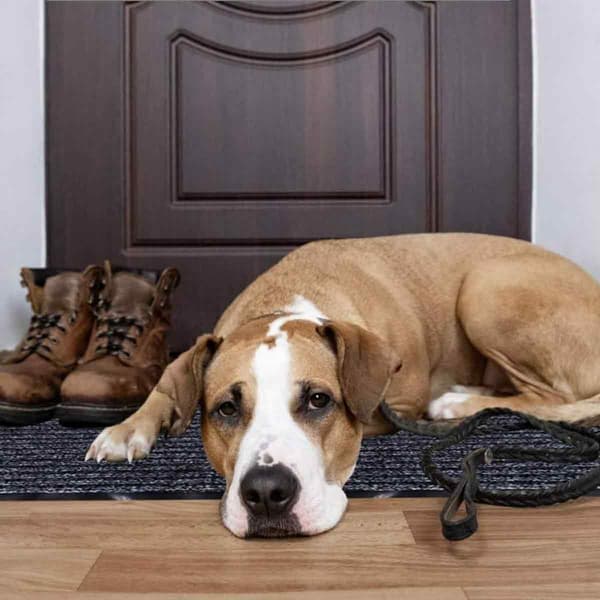 Floor Mat for High-Traffic Areas, Non-Slip Safety Thin Versatility, Groove Design Traps Dirt with Pet-Friendly Durability Zero Lint, Durable