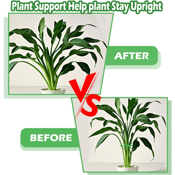 Reusable Plant Supports for Monstera Plants, Flowers, Hydrangeas, Roses, Tomatoes