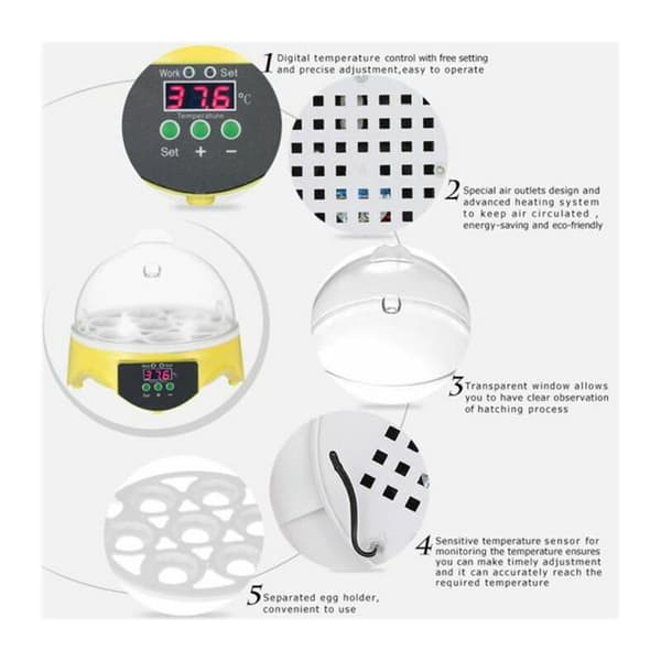 [LCS] Mini Egg Incubator 15.5 x 15 cm Capacity 7 Eggs Hatching Tool