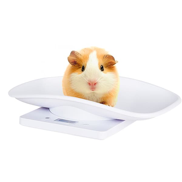 Mini Electronic Pet Scale - White, 10kg/1g, 295x206x58mm, 1 pc