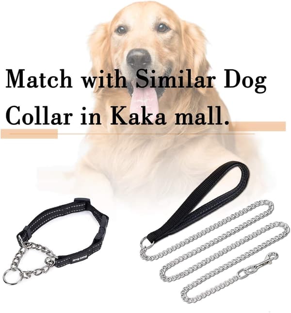 Metal Dog Leash (180 cm) Anti-Chafe Solid Dog Chain Leash PU Leather