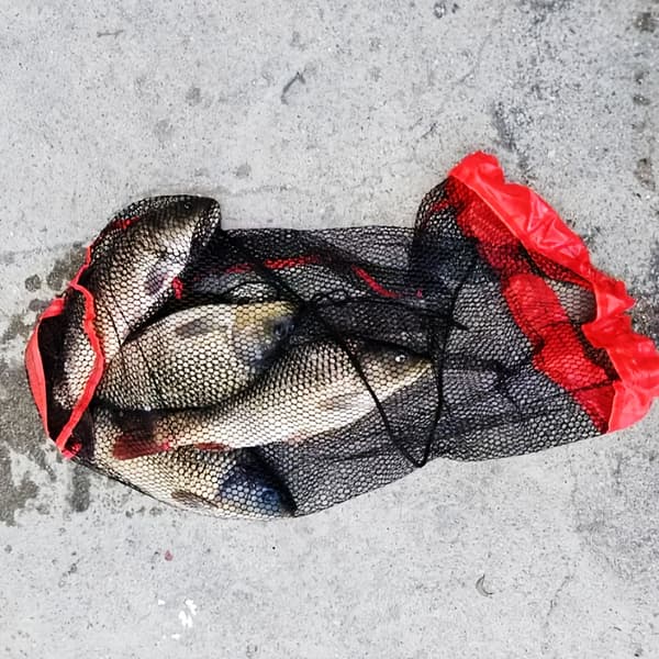 40x80cm Large Foldable Fishing Net with Long Handle & Quick-Drying Mesh - Heavy Duty Nylon Foldable Fish Basket with Sto [DB] 40*80cm