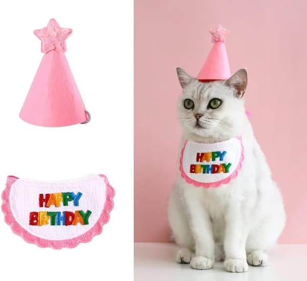 Rosa husdjurshalsduk - Minihund och katt - Festsjalar och hatt -