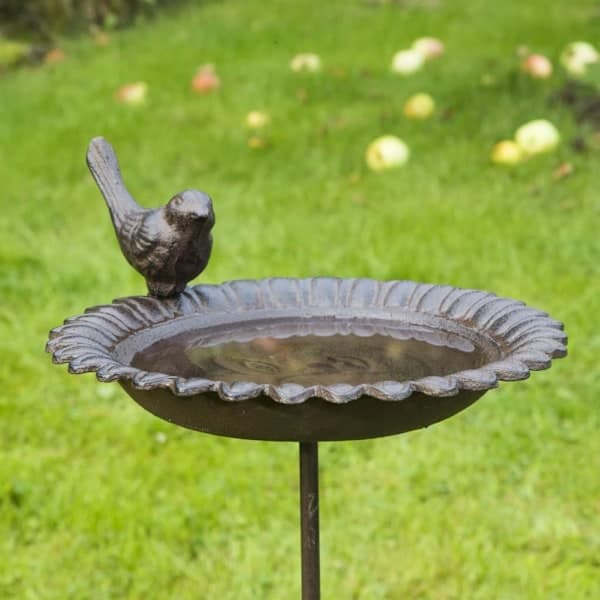 HI Cast Iron Bird Bath, Brown Brown Brown