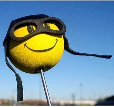 2 pcs Antenna Ball Cyclist Aviator Foam Antenna Auto Decoration Universal