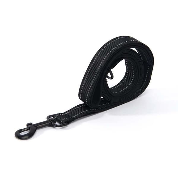 Pet Leash, Large and Medium Dog Leash with Chain, Dog Walking, Traction Rope, Nylon, Double Layer, Thicker, Reflective