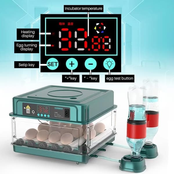 Automatisk egginkubator, i stand til å klekke 12 til 15 egg, med effektiv LED-belysning, automatisk eggvending og fuktighetskontroll.