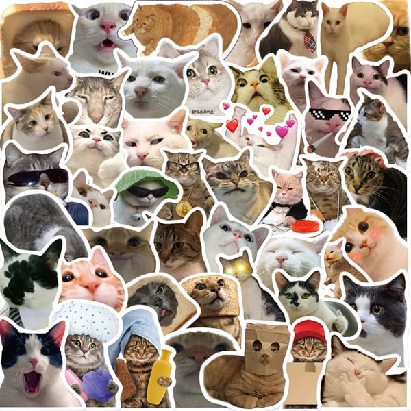 50 stk Cat MEME Animals Stickers Legetøjsgraffiti Decals til børn