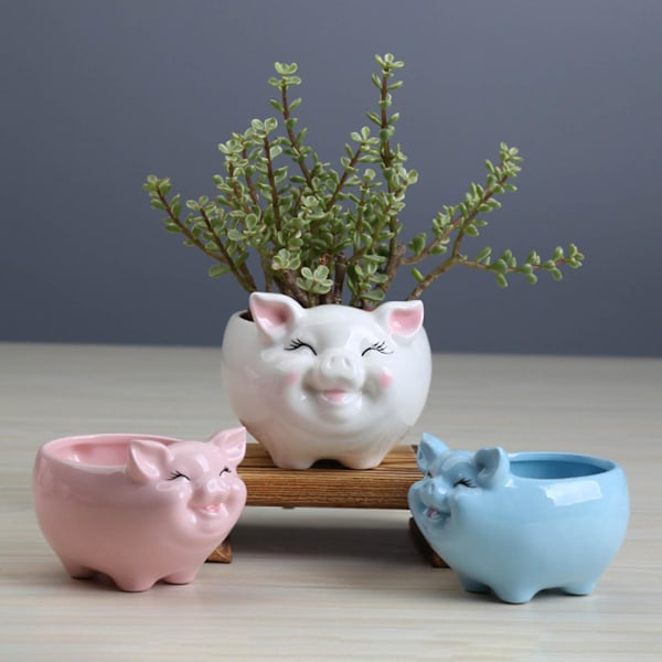 Keramisk blomsterpotte i nordisk stil, tegneseriefigur, gris, sukkulent, bonsai, potteplante Pink L