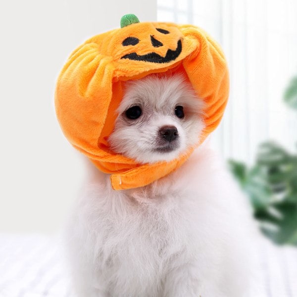 Halloween-gresskarhatt for kjæledyr - Oransje gresskarhatt, hodeplagg, kostyme, cosplay-lue for små, mellomstore og store hunder - Nyhet l