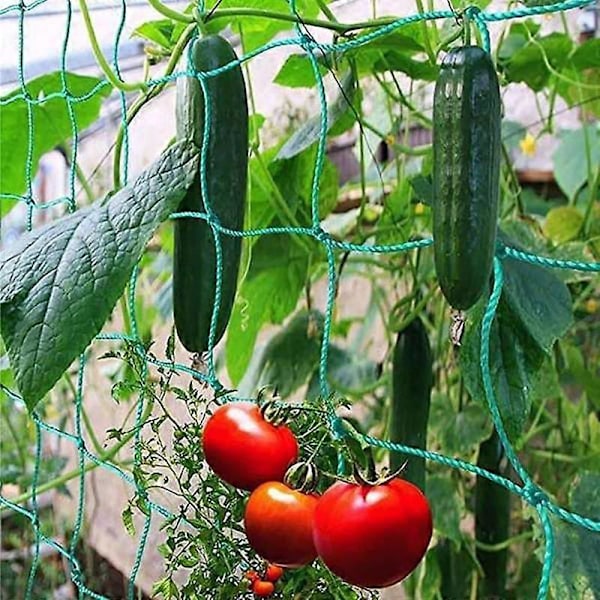 4 Størrelser 27 Tråde af Havebrugs Plante Klatre Vinstok Net Ipomoea Nil Klatre Blomster Klatre Rattan Reb Til Planter green 1.8m*2.7m