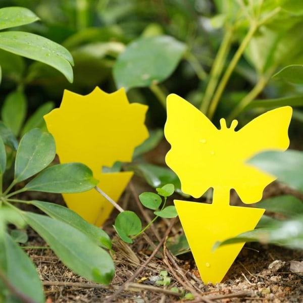 20-pak Fluefangere - BLOMST - Søte og effektive BLOMMA