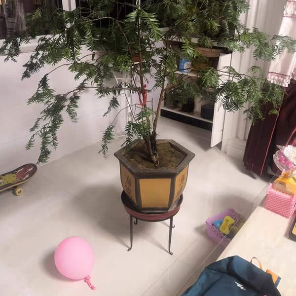 Metall Blomsterstativ, Blomsterpottestativ, Plantestativ