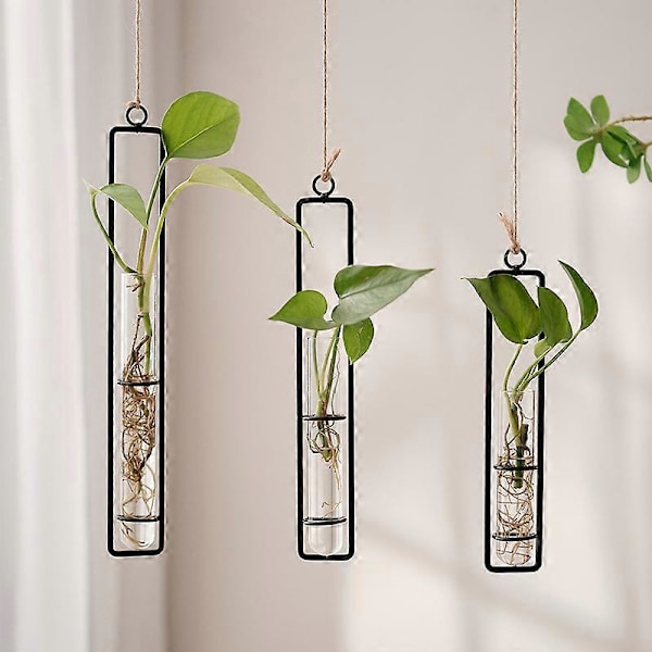 Guld/svart Väggmonterad Växtföröknings Terrarium Set om 3, Provrörsvas för Hydroponisk Blomma Badrumsinredning Gåva till Kvinnor black