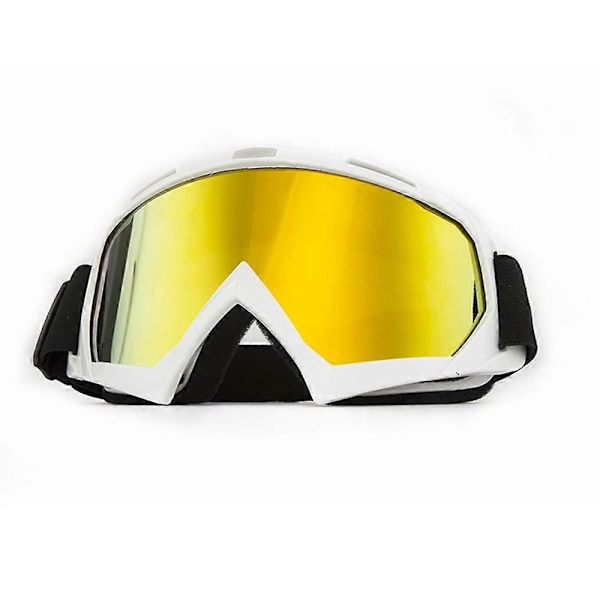 Skibriller Snö Snowboardglas Snöskoterglasögon C