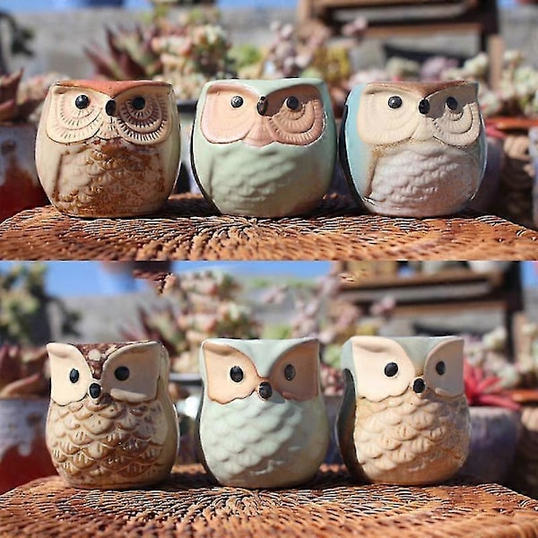 Succulent Potte 6 stk. Keramiske Ugle Blomsterpotter Kaktus Potte Succulent Dyrebeholder Med Drænhul Hjemmekontorer Skrivebord Have
