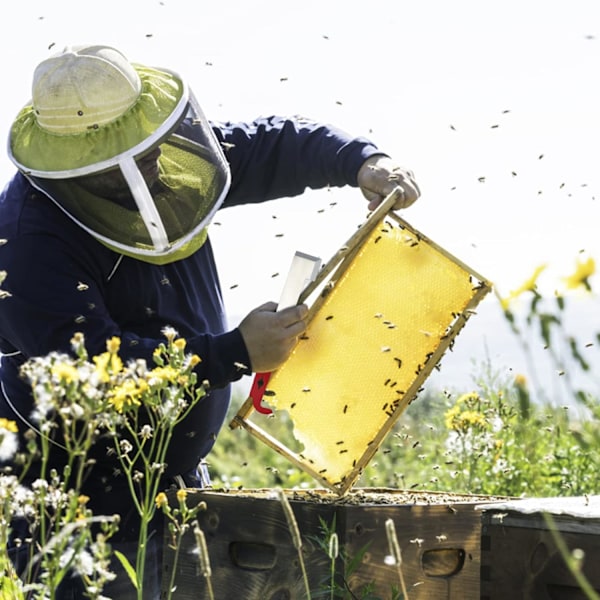 Bihållare verktygsskrapa polerad rostfritt stål biodling utrustning verktyg för biodlare 1