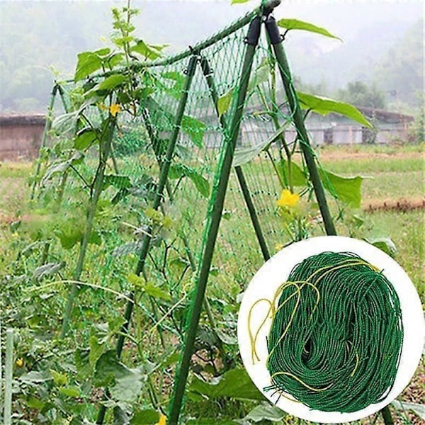 4 Størrelser 27 Tråde af Havebrugs Plante Klatre Vinstok Net Ipomoea Nil Klatre Blomster Klatre Rattan Reb Til Planter green 1.8m*1.8m