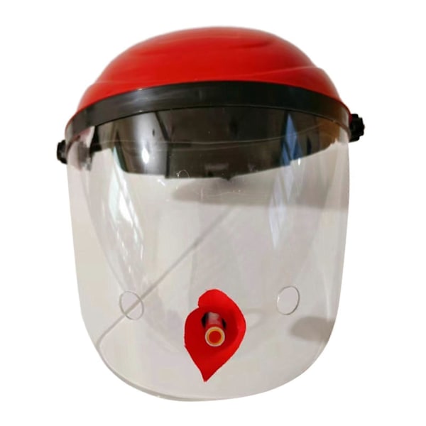 Kolibrimatningsmask Ansiktsmask Matare Fågelmatare för Uteplats Trädgård A B 26cmx28cm