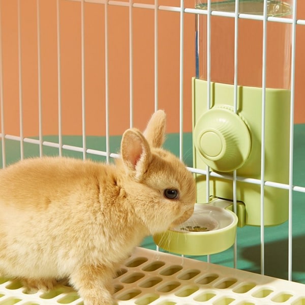 Kæledyr Kanin Hamster Rottedrikker Drikkeautomatisk hængende vandflaske 600ml Green