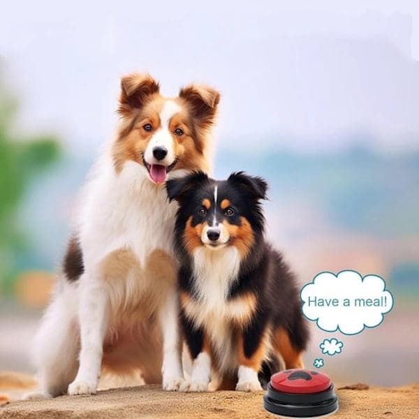Hundleksak - Hundsummer med inspelningsbara knappar - 8 hundinteraktionsknappar