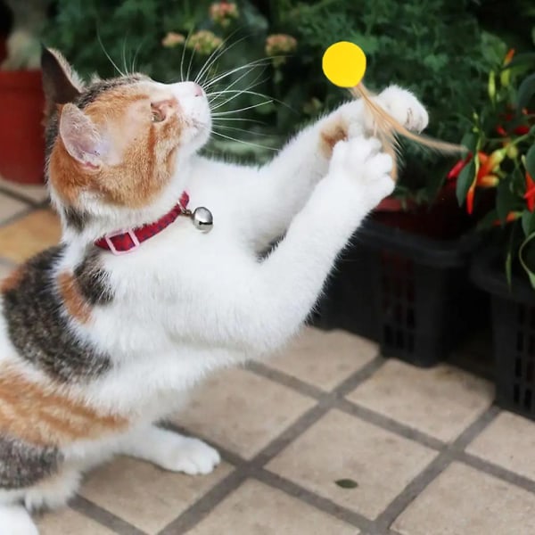 Kissan lelu sisäkäyttöön kissan lelu höyhenkissan pallo Lemmikkilelu Kissan silikonipallo