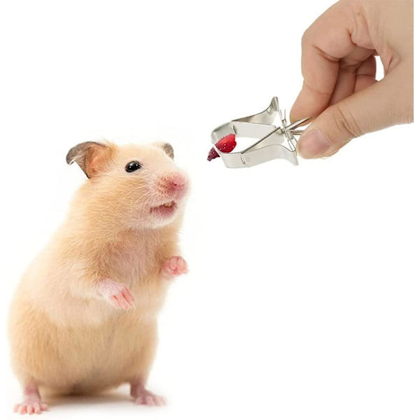 5 stk. Fuglefoderholder i rustfrit stål til foderautomater, fuglefoderholderklemme, fugleburtilbehør til papegøje, lærker, hamster, kanin