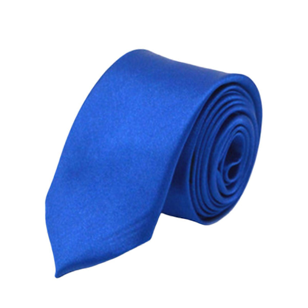 Herrar Slips Siden Halsdukar Skoluniform Formell Fest Kostym Slips för Födelsedag Bröllop Royal Blue