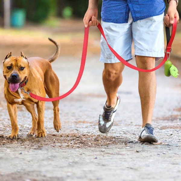 Dubbelsidigt reflekterande hundkoppel, vadderade handtag Nylon hundkoppel för promenader, träningslina för små och medelstora hundar, röd, 5FT