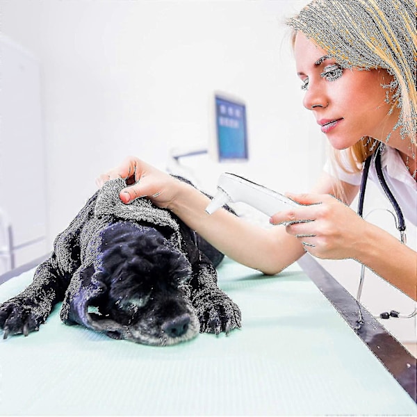 Örontemperaturmätare för katt och hund, endast för husdjur