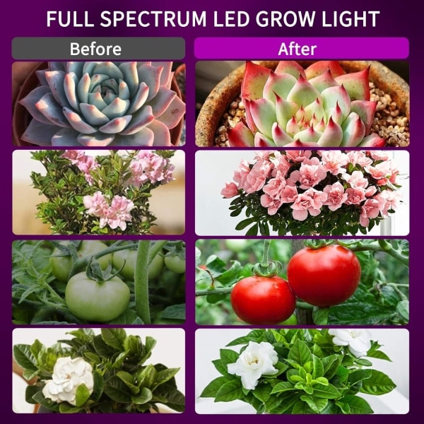 Plantelampe, 100W E27 LED Full Spectrum Plantevekstlys Hagebruk Lampe, for planter med blomster og grønnsaker Innendørs/Drivhus/Hage