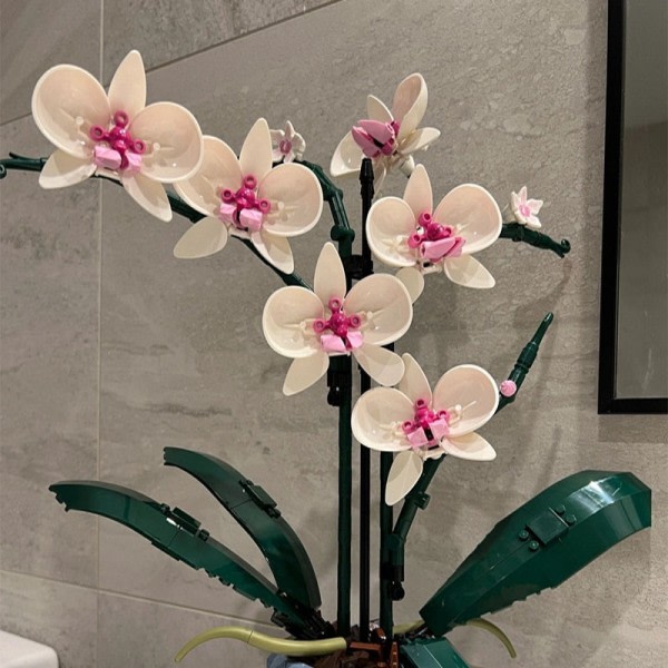 Moc Bouquet Orchid blokk blomst Sukkulenter Byggeklosser i potter Passer til 10311 Romantisk sett Montering Byggeleke Jentegave uten eske7 without box7