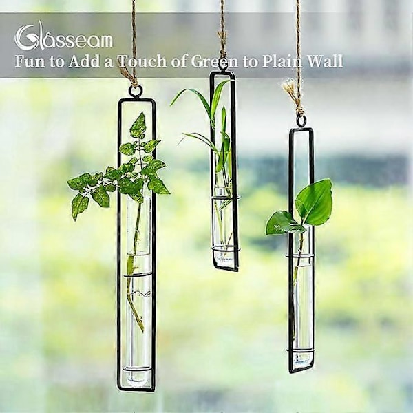 Guld/svart Väggmonterad Växtföröknings Terrarium Set om 3, Provrörsvas för Hydroponisk Blomma Badrumsinredning Gåva till Kvinnor golden