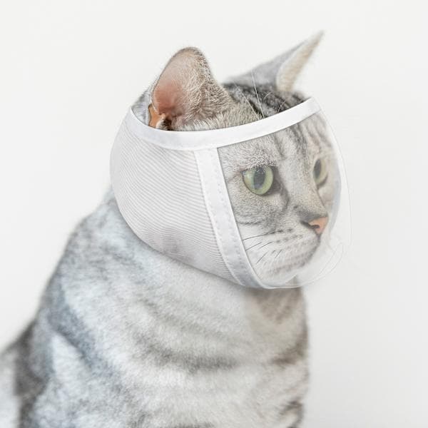 Kattmunkorg för pälsvård och behandling Vit M Vit M