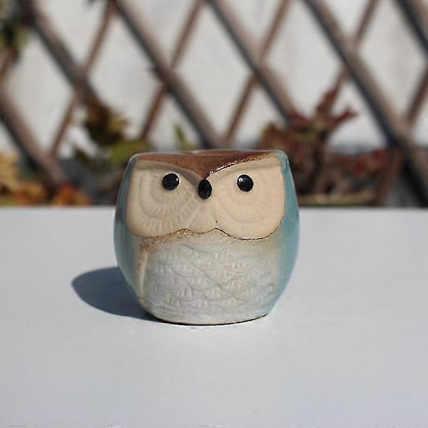 Succulent Potte 6 stk. Keramiske Ugle Blomsterpotter Kaktus Potte Succulent Dyrebeholder Med Drænhul Hjemmekontorer Skrivebord Have