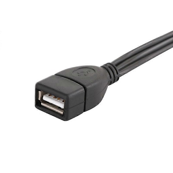 DOONJIEY USB 2.0 A Hon till 3 RCA Han Audio Video AV Adapterkabel för PC TV