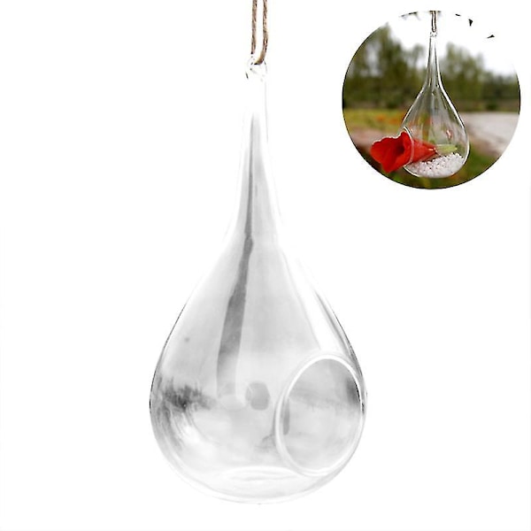 1 st Växtterrarium