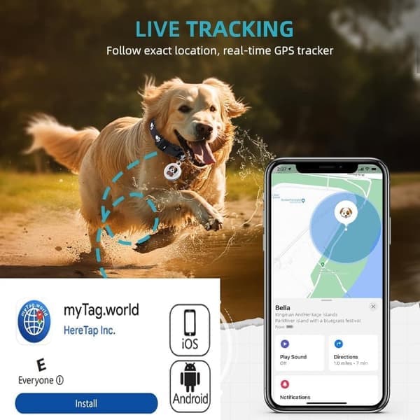 GPS-tracker til kæledyr til hund og kat Vandtæt Ingen månedlig afgift Kompatibel med Android iOS Hund