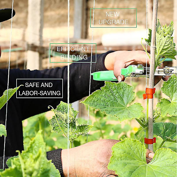 Plantebindingsbåndværktøj Stammespænder Haveværktøj Emballage Grøntsager Tapener Maskine Gren Håndbindingsmaskine Værktøjer Kompatibel Grape-c
