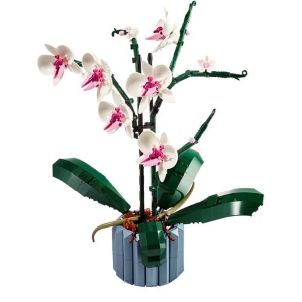 Orchid 10311 Byggstenar Blommor Heminredning