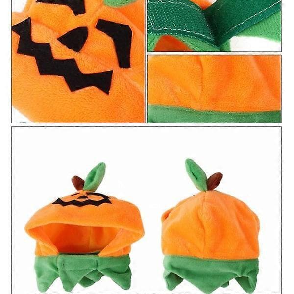 Katter Halloween Gresskarhatt Gresskardemonhette Kattehodeplagg