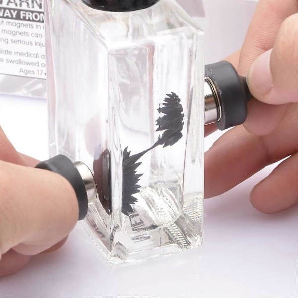 Magisk Ferrofluid Display Leksak Magnetisk Dynamisk Ferrofluid Vetenskapssats Tonåringspresent