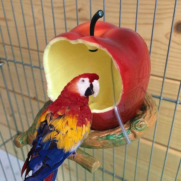 Fågelmatare för bur, spillfri hängande matbehållare, plastlåda med sittpinne Apple