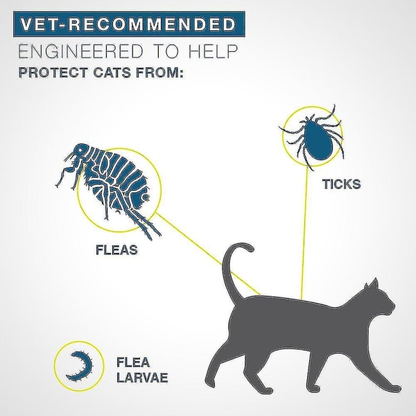 Redusert!!8 måneders hundehalsbånd Beskyttende liten stor loppeflåttforebygging for kattekontroll