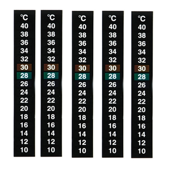 5-pack traditionell digital klistertermometer med Celsius-system